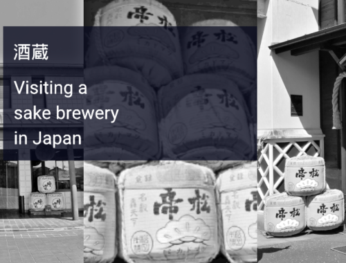 Visiting a sake brewery in Japan